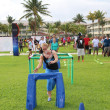 Zinergya Team Building Cancun